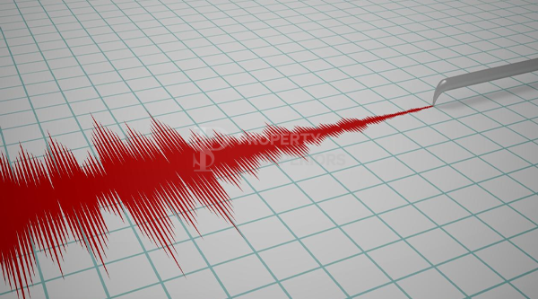 Important Facts About Earthquake Insurance In Tur