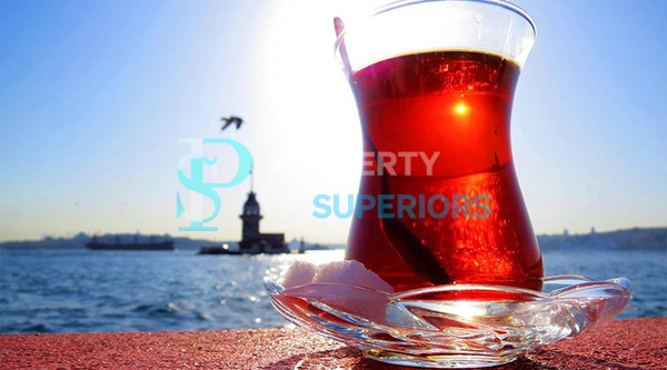 Turkey's Best Drinks9